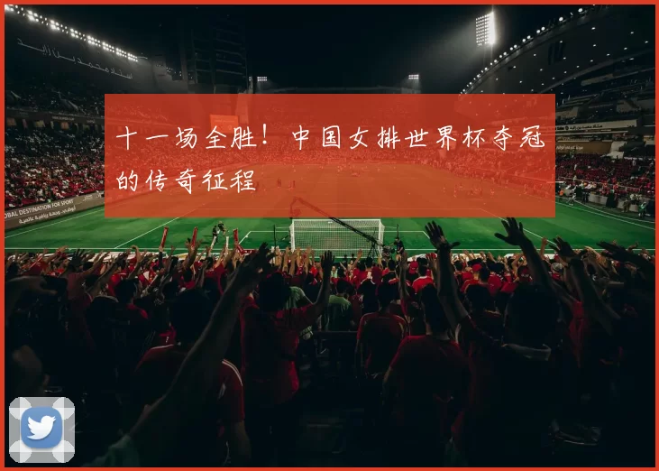 十一场全胜！中国女排世界杯夺冠的传奇征程